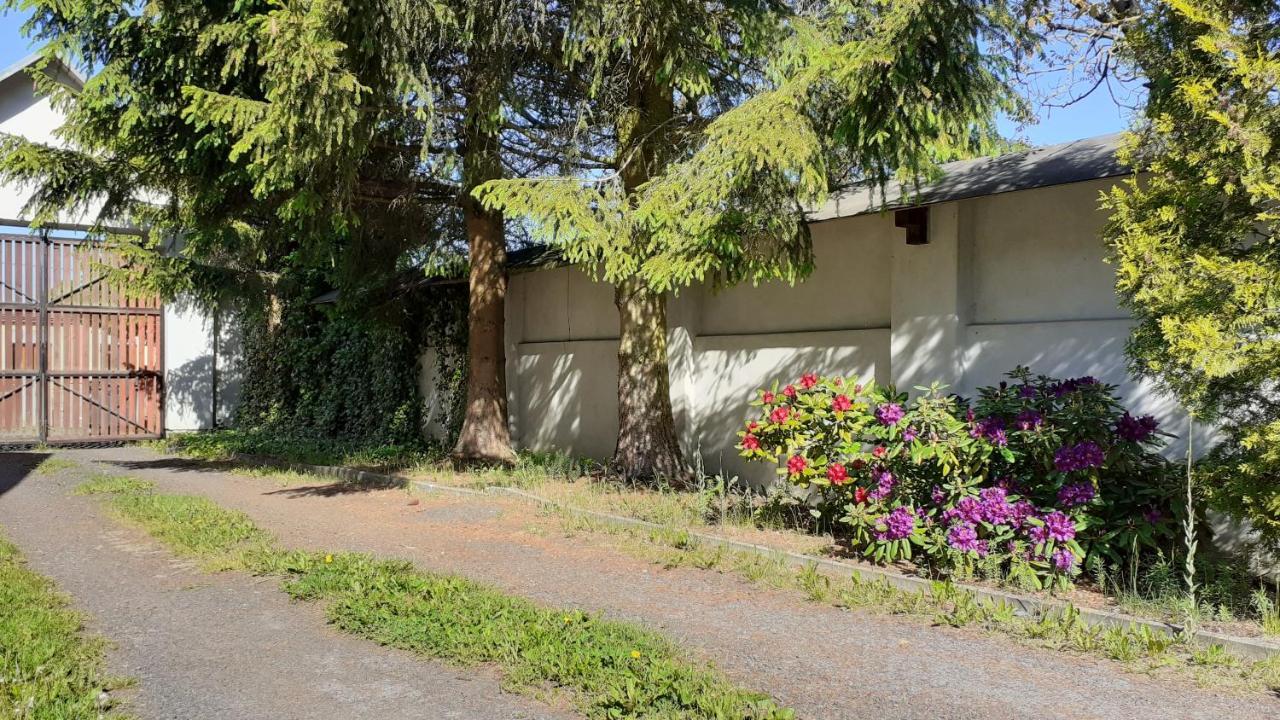 RESORT CHŘIBSKÁ Apartmány Adri Esterno foto