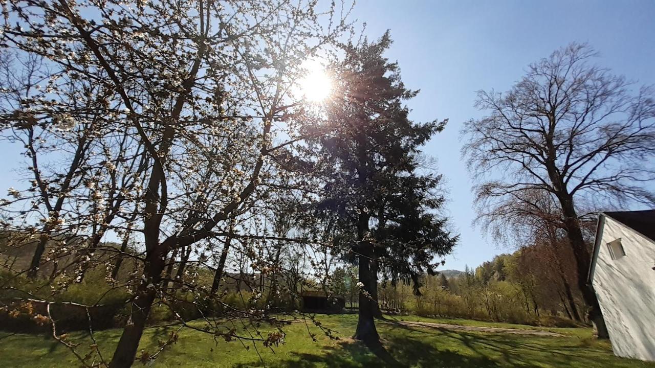 RESORT CHŘIBSKÁ Apartmány Adri Esterno foto